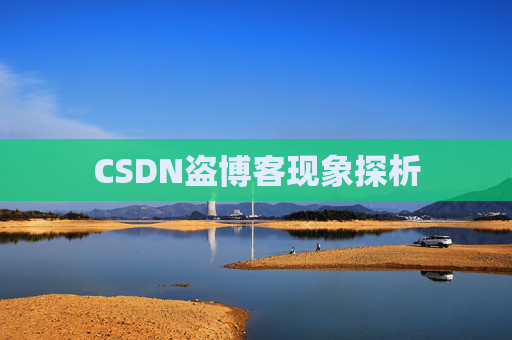 CSDN盗博客现象探析 CSDN盗博客现象探析
